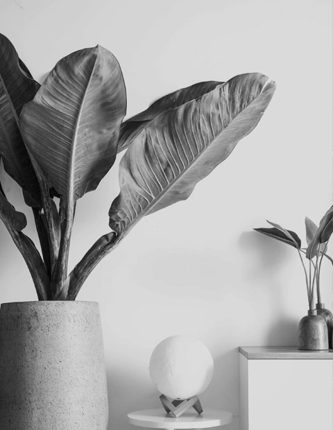 Decore