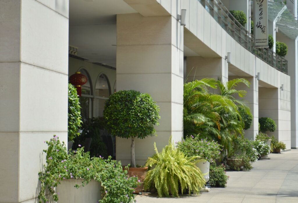 Elegant commercial building facade with lush potted plants, evoking a modern and natural aesthetic.